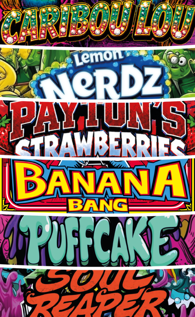 PROMO PACK 6 VARIETÀ